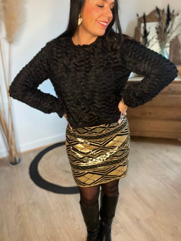 img_2713 Jupe Maxine