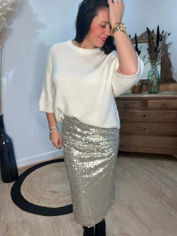 img_5174 Jupe longue à sequins - Modele Jane