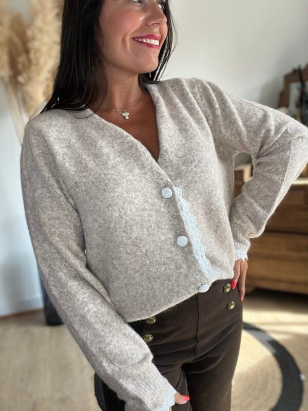 Gilet taupe avec broderie  – Modèle Charlotte