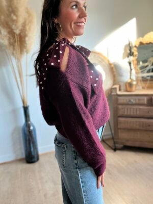 pull bordeaux noeud à pois pull bordeaux noeud à pois