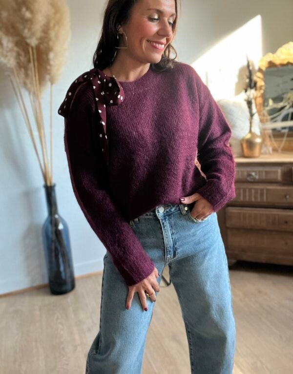 pull bordeaux noeud à pois