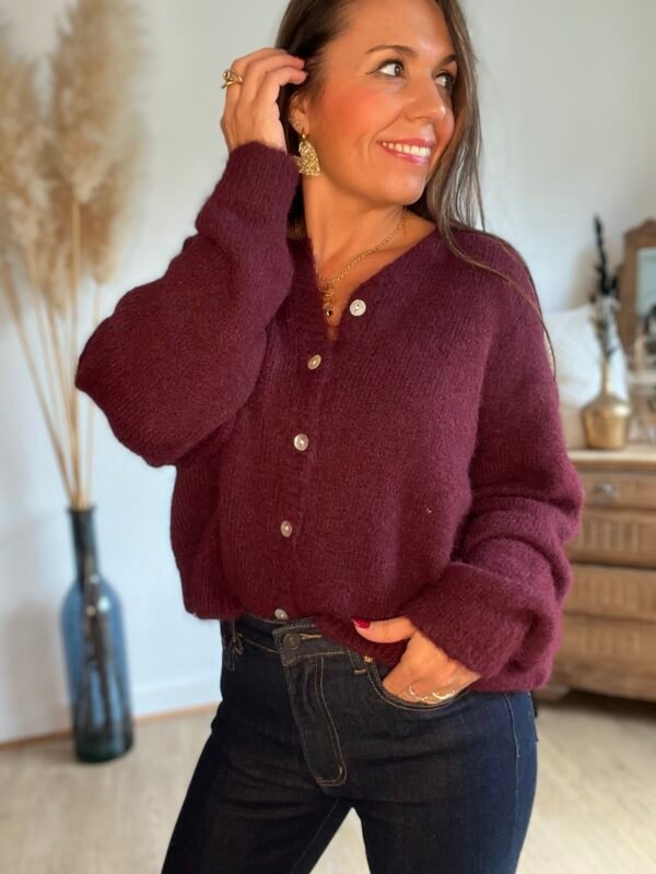 Gilet bordeaux tout doux Gilet bordeaux tout doux
