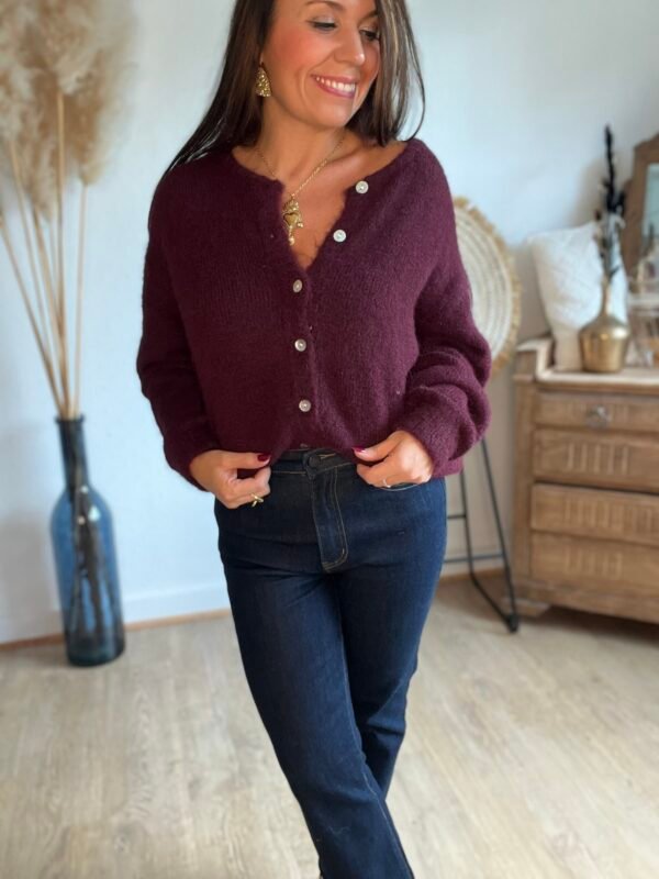 Gilet bordeaux tout doux Gilet bordeaux tout doux