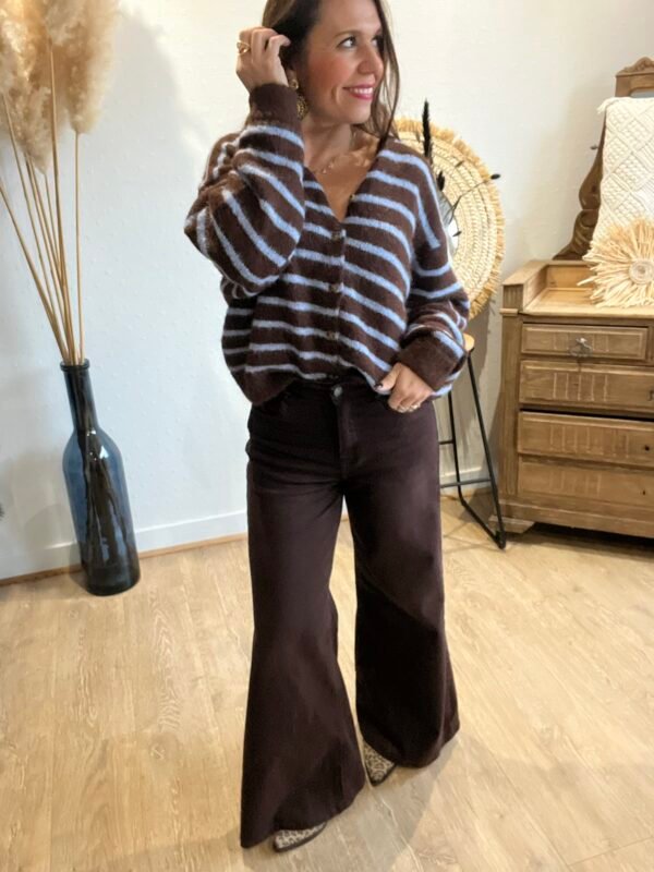 img_4459 Gilet rayé marron et bleu – Modèle Moa