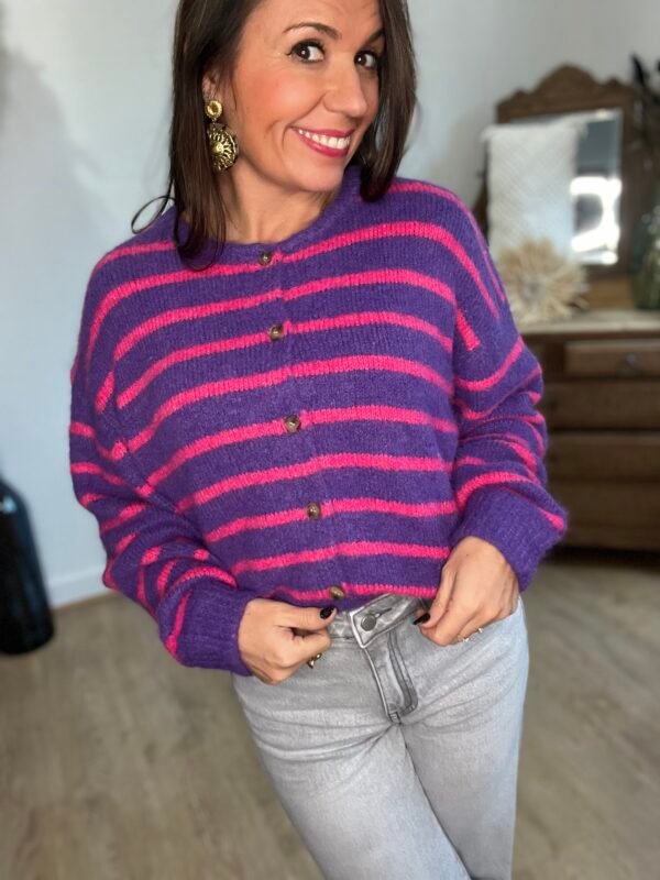 img_4883-2 Gilet rayé violet et rose – Modèle Moa