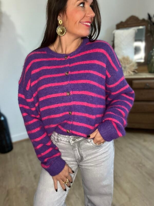 img_4884-2 Gilet rayé violet et rose – Modèle Moa