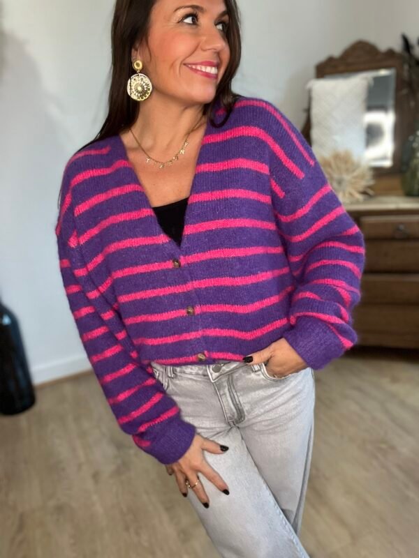 img_4887-2 Gilet rayé violet et rose – Modèle Moa