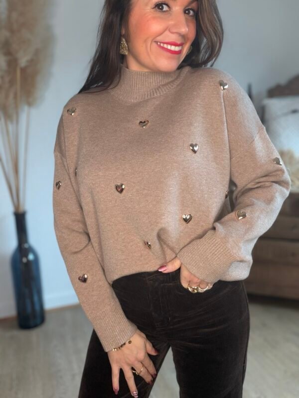 Pull taupe à cœurs métalliques– Modèle