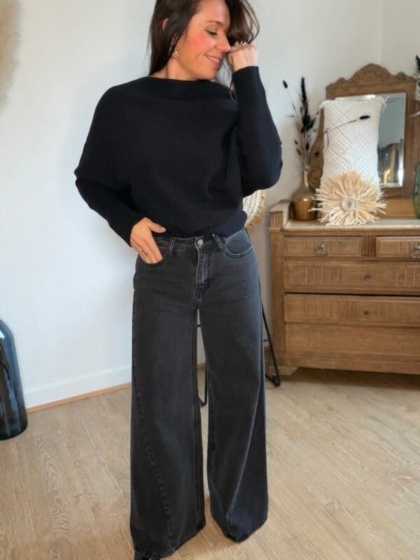 img_9990-2 Jean Palazzo gris foncé - Modèle Barnes