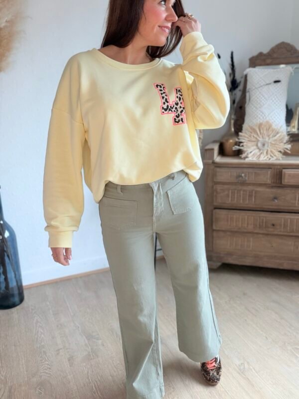 img_3102 Jean wide kaki clair - Modèle Gasparette