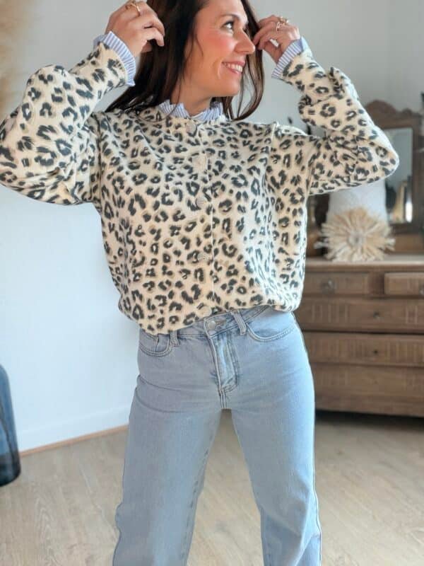 img_3118-3 Cardigan léopard - Modèle Thelma