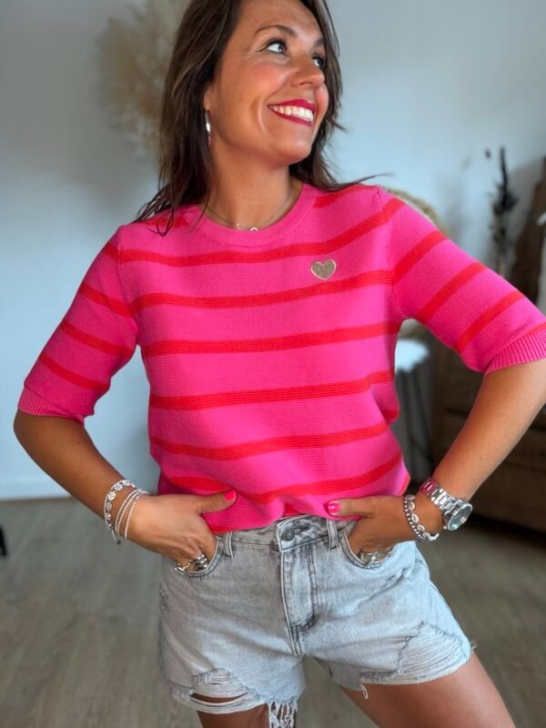 Top en maille rayé fushia - Louis