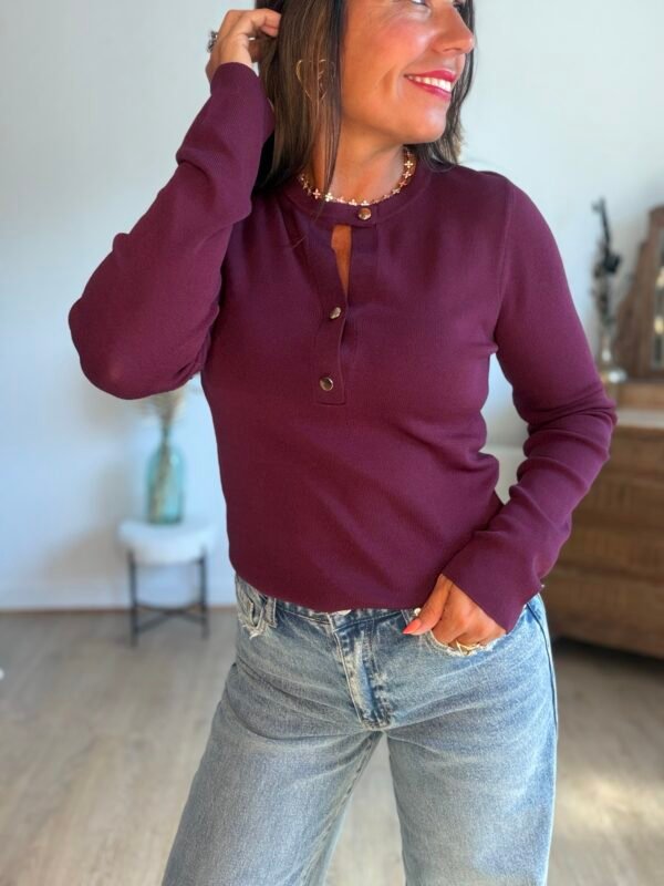 Pull fin burgundy - Modèle Taylor