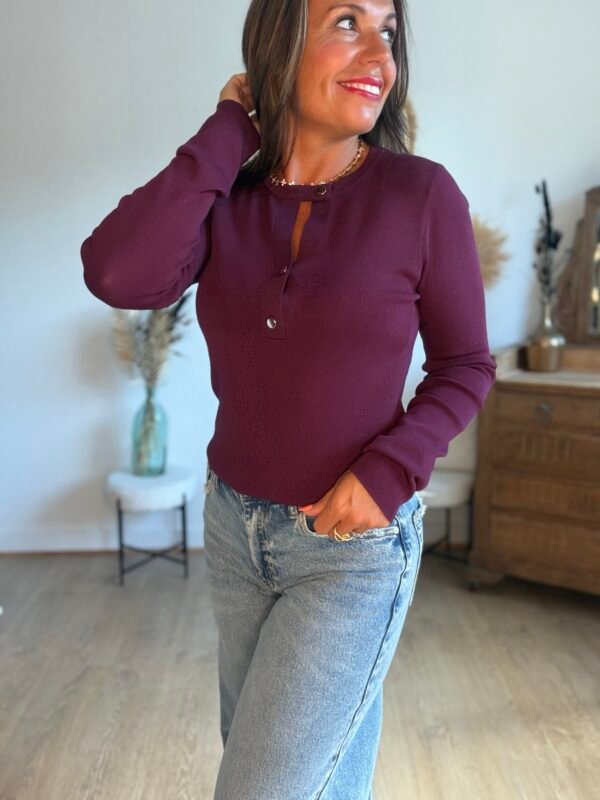 Pull fin burgundy - Modèle Taylor