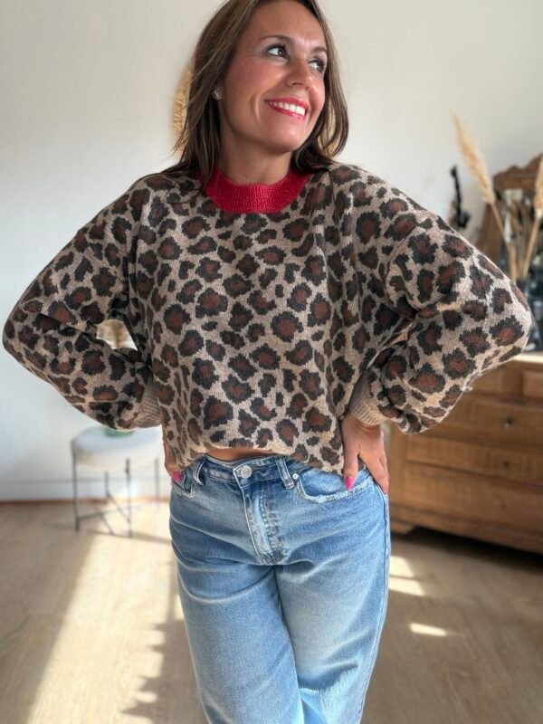 Pull léopard col rouge - Modèle Victor