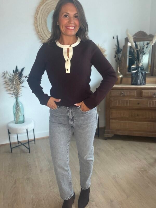 Pull ajusté marron  - Modèle Rackelle